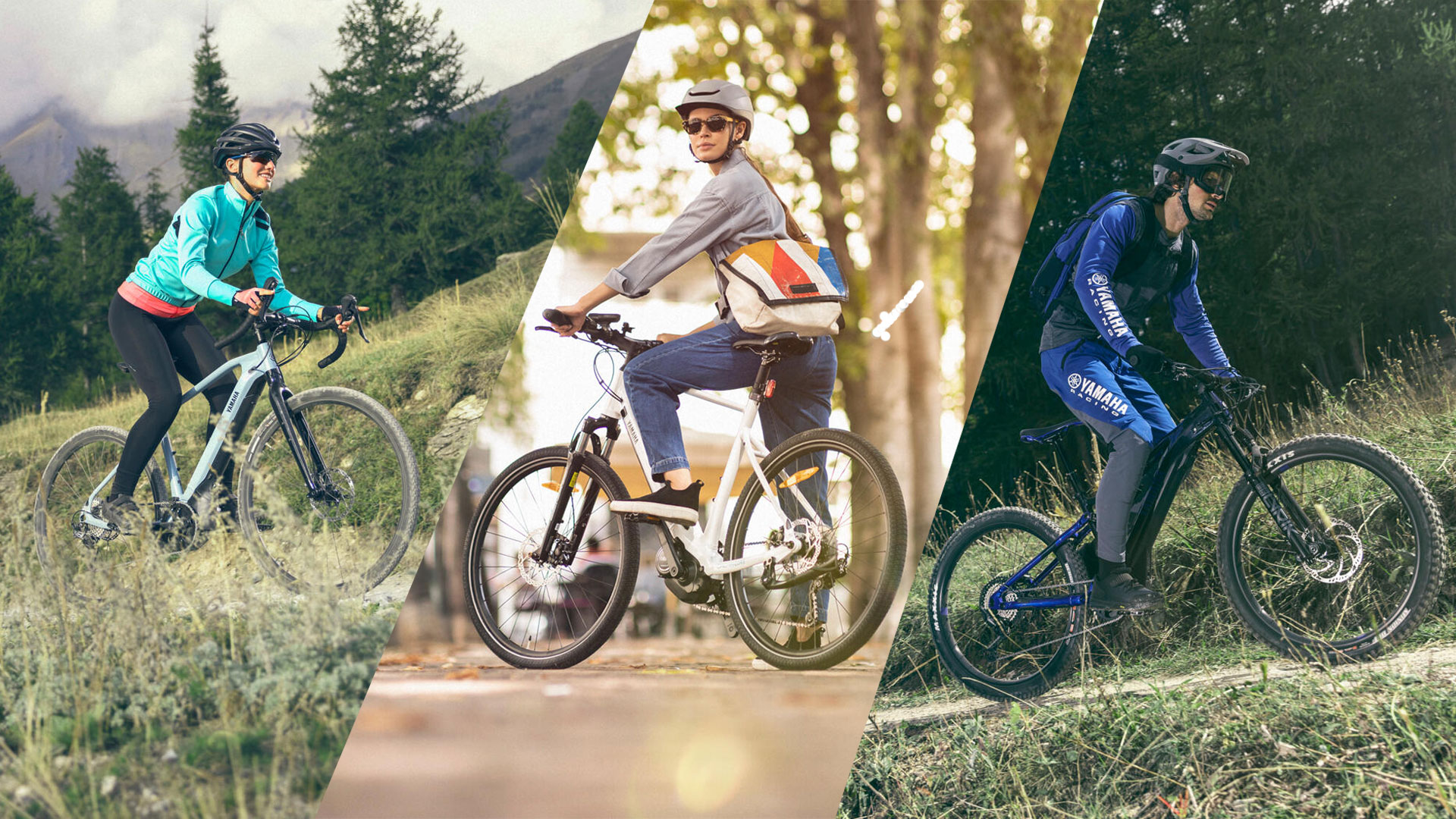 Curated visual reference: Picture Idea: Ebikes