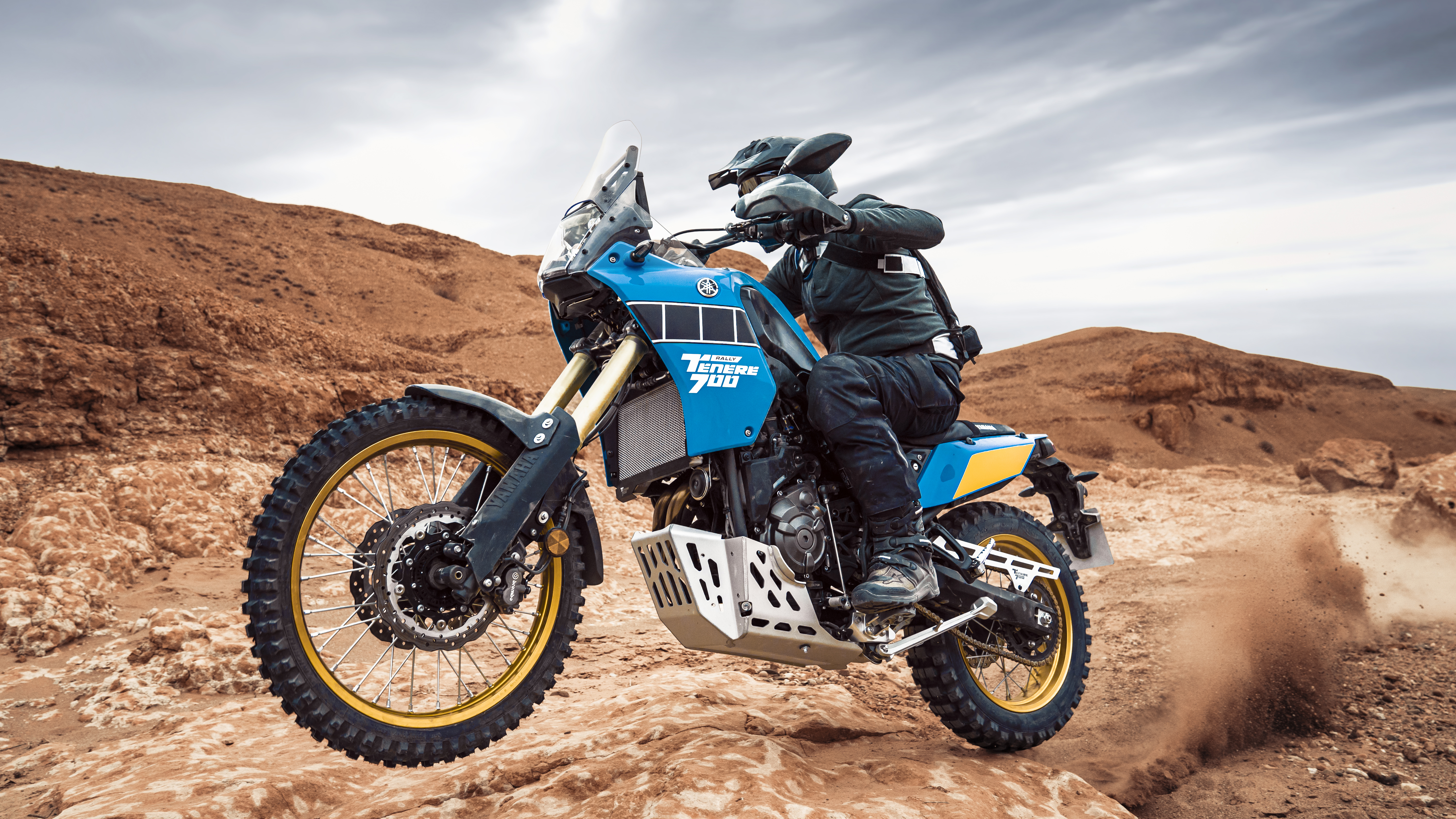 2020 Tenere 700 Rally Edition Yamaha Motor